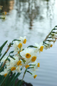 b0006870_0234728.jpg