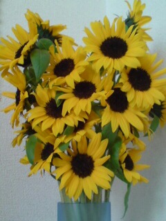 花。_f0128409_1582814.jpg