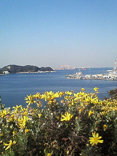 d0065116_22261487.jpg