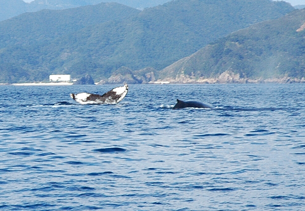 嘉鉄で唄が聞こえました。_f0062839_1365146.jpg