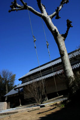 f0042548_23261894.jpg