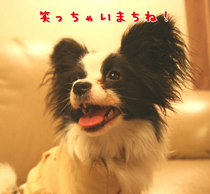 d0013149_03519.jpg