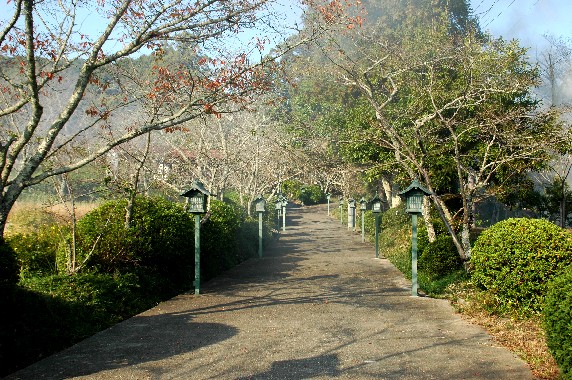 　　根 来 寺　　_b0093754_23483130.jpg