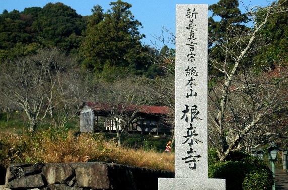 　　根 来 寺　　_b0093754_23492116.jpg