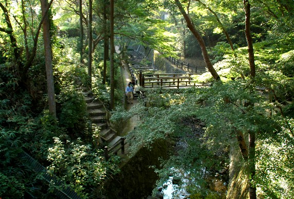 　　根 来 寺　　_b0093754_2349980.jpg