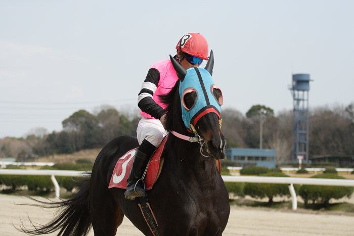 2007年2月12日（月） 佐賀競馬 7R レース前_a0077663_083091.jpg