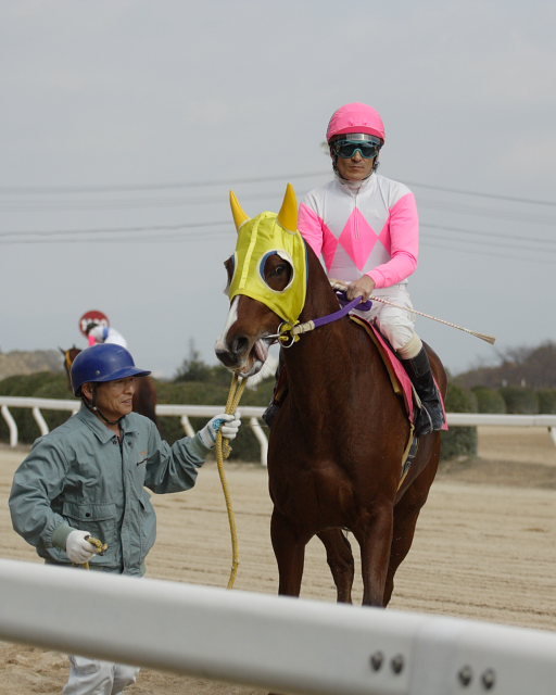 2007年2月12日（月） 佐賀競馬 7R レース前_a0077663_085418.jpg