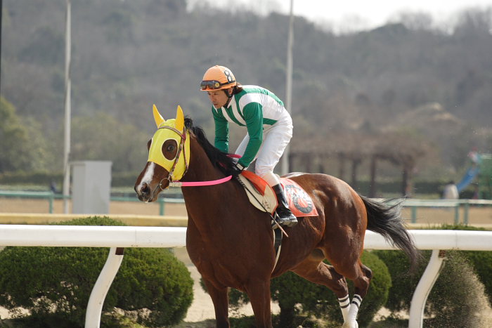 2007年2月12日（月） 佐賀競馬 7R レース前_a0077663_092015.jpg