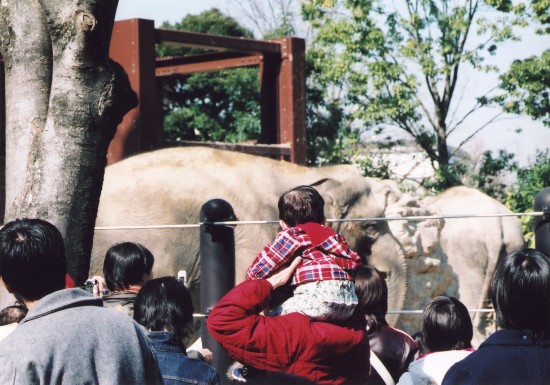 上野動物園は晴れ模様♪_c0066064_2283383.jpg