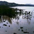 d0083265_15122386.jpg
