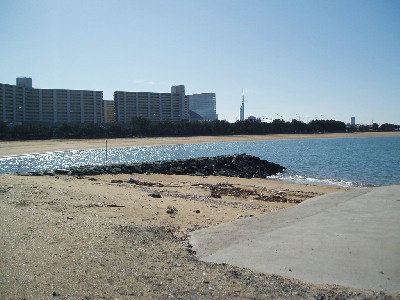 海洋スポーツ協会_a0077071_11321474.jpg