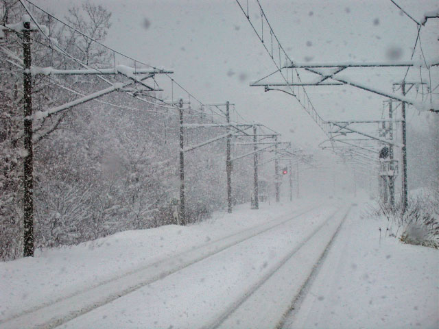 e0100772_2371999.jpg