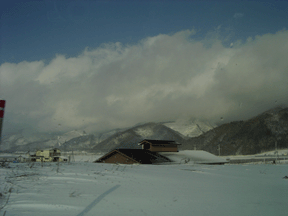b0035275_11524172.gif