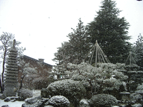 b0035275_11531046.gif