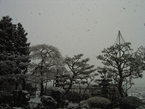b0035275_11531855.gif