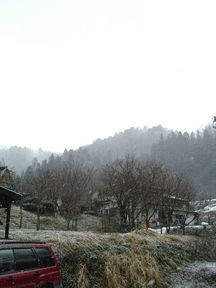 b0035275_11535239.gif