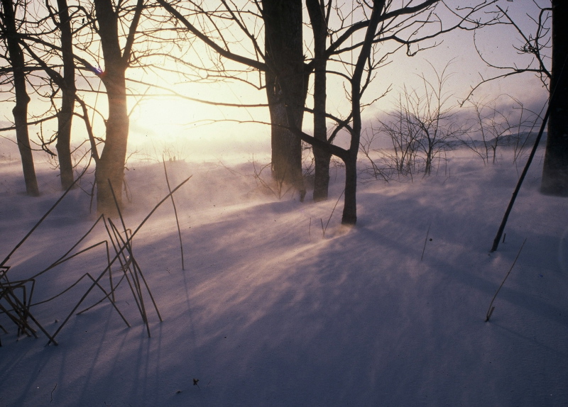 遠野不思議　第二百七十話「遠野の地吹雪（雪女イメージ）」_f0075075_13525210.jpg