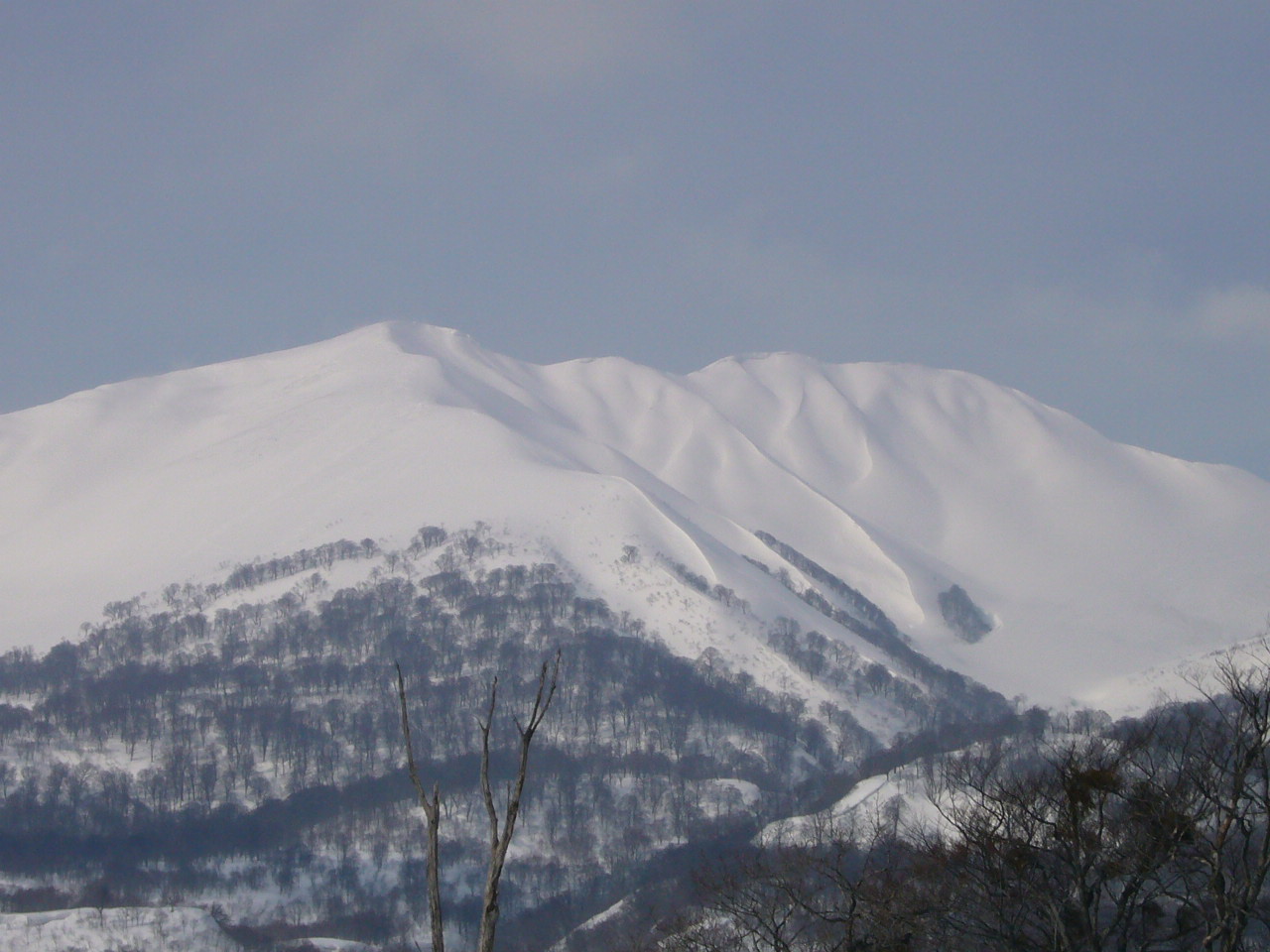 月山で山遊び_b0050305_20164891.jpg