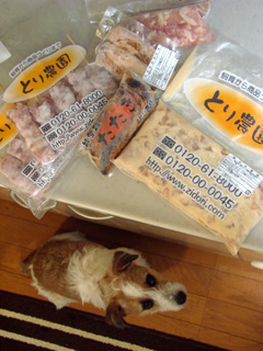 f0080105_223713.jpg