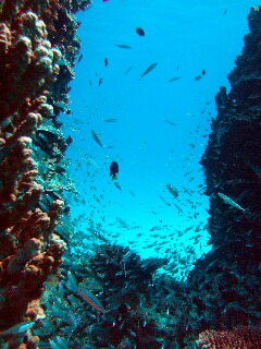 f0124006_14142124.jpg