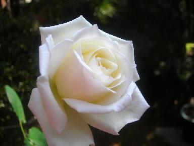 f0063931_11434050.jpg