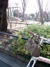＊この、心のざわめきは　ざわめくほどの、ものすごいパワーは_a0030038_7192435.jpg