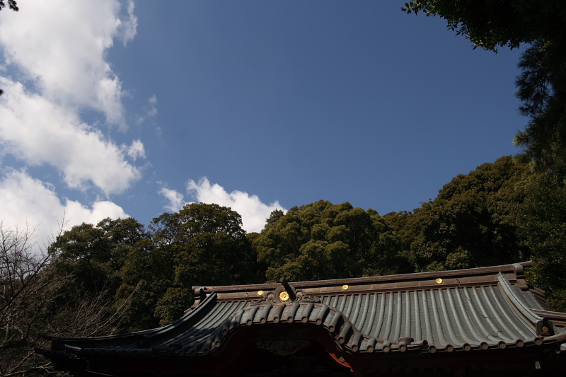 伊豆山神社_e0110251_21531.jpg