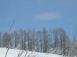 c0097856_0422174.jpg