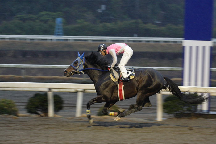 2007年2月17日（土） 高知競馬 11R_a0077663_19273662.jpg