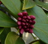 e0026586_1571423.jpg
