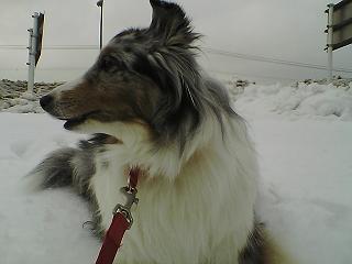f0008706_0123366.jpg
