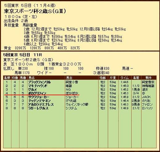 東京スポーツ杯2歳S(11月4週)_d0095807_22525112.jpg