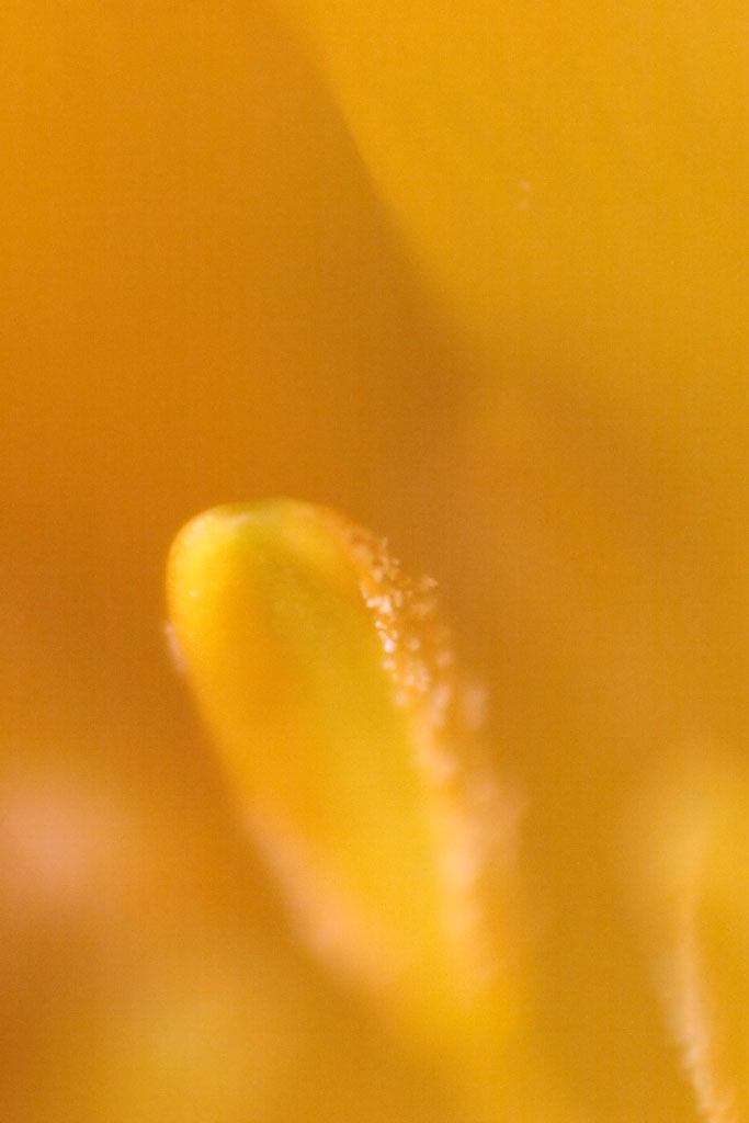 d0085715_03773.jpg