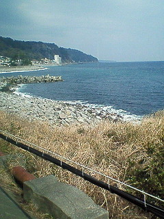 d0065116_18565021.jpg