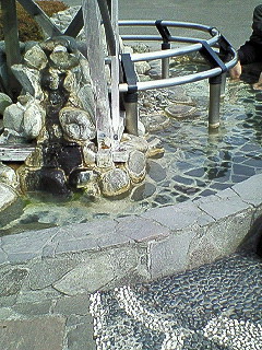 d0065116_1919424.jpg
