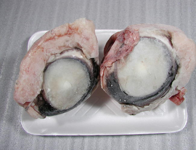 まぐろdha とまぐろの目玉 三崎まぐろの鮪や 丸福社長マグロ日記