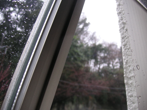 2月の雨　窓うつ嵐に_c0048132_15193578.jpg