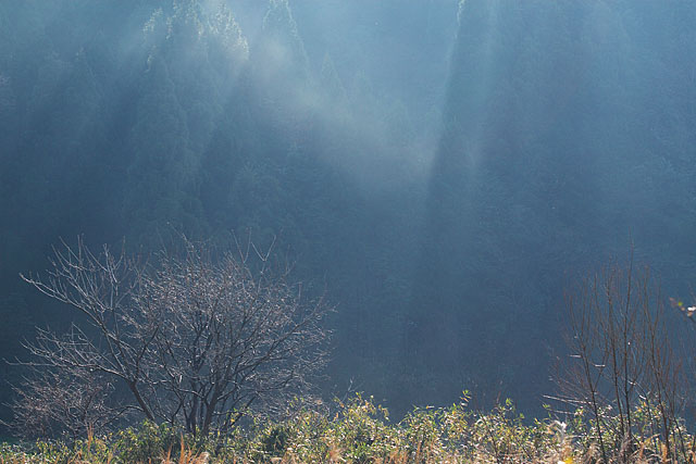 c0067040_22252645.jpg