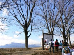 待望の雪&JWA主催歩きたくなる道500選・信玄堤_f0019247_21161550.jpg