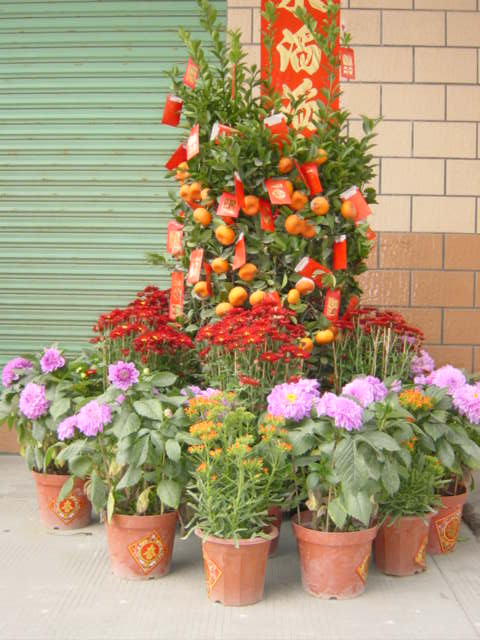 d0097148_16184051.jpg