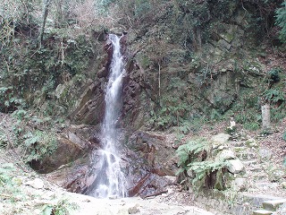 d0048350_20273929.jpg