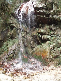 d0048350_20274966.jpg