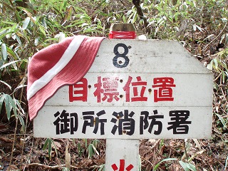 d0048350_2028337.jpg