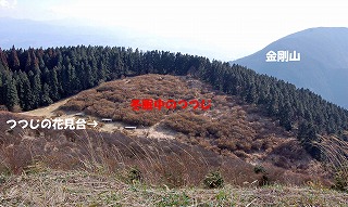 d0048350_20284693.jpg