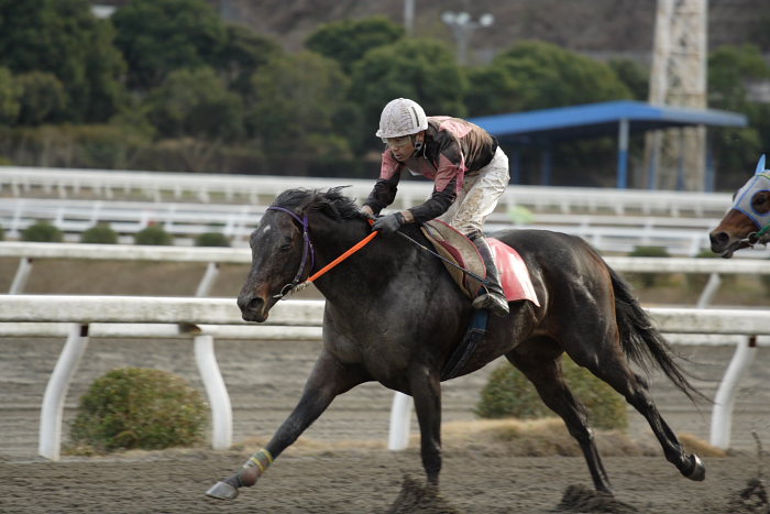 2007年2月18日（日） 高知競馬 10R 黒船賞トライアル だるま夕日特別_a0077663_19181521.jpg