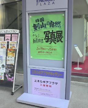 c0089831_11565673.jpg