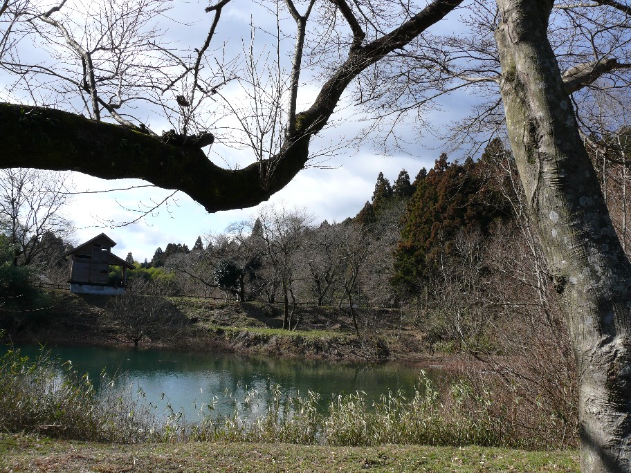 b0088444_23174950.jpg