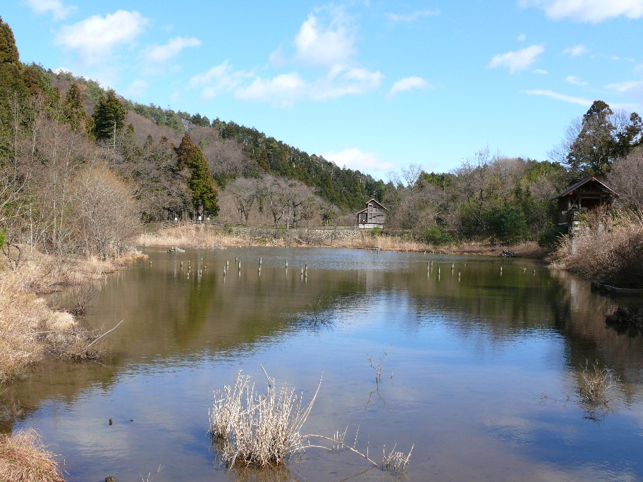 b0088444_23194165.jpg