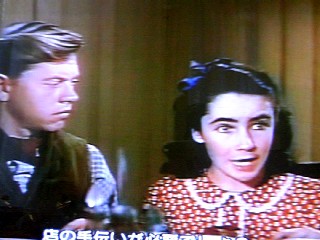 緑園の天使 National Velvet お散歩アルバム 夏日和バラ日和 緑園の天使 National Velvet お散歩アルバム 夏日和バラ日和