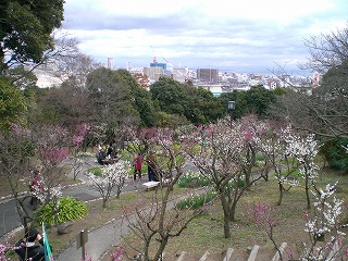 d0006756_1551858.jpg